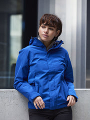 Load image into Gallery viewer, Webster
